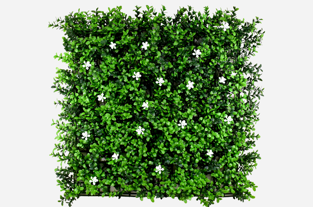 草皮達人[Masturf]-金錢草 (小白花)